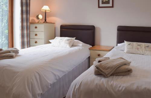 Oregano - E4483 - Foto 7