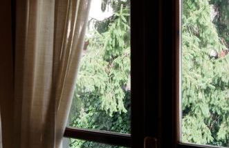 Bacco a Petroio - Foto 7