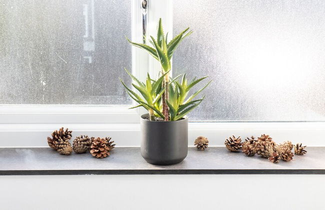 James' Place at Castle Cottage - Foto 12