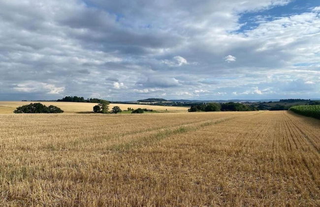 Spacious Holiday Home in the Teutoburg Forest - Foto 36