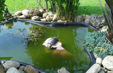 Posada La Llosa de Viveda - Adults Only - Foto 25