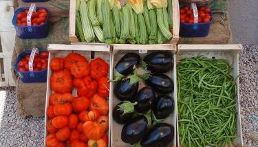 B&B Corte degli Struzzi - Foto 4