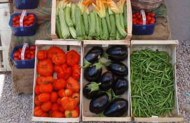 B&B Corte degli Struzzi - Foto 4