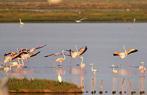 Il Dosso Agriturismo - Foto 38