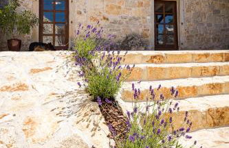 Stone house Dijana Istria Sveti Lovrec - Foto 21