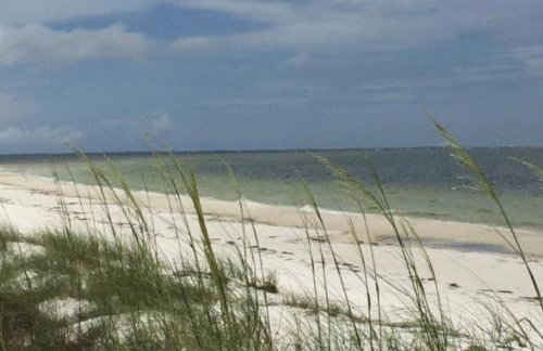 TigerMinnow Coles Lodge - Foto 11