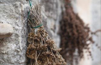 Holiday Homes Poli Svetega Antona - Foto 25