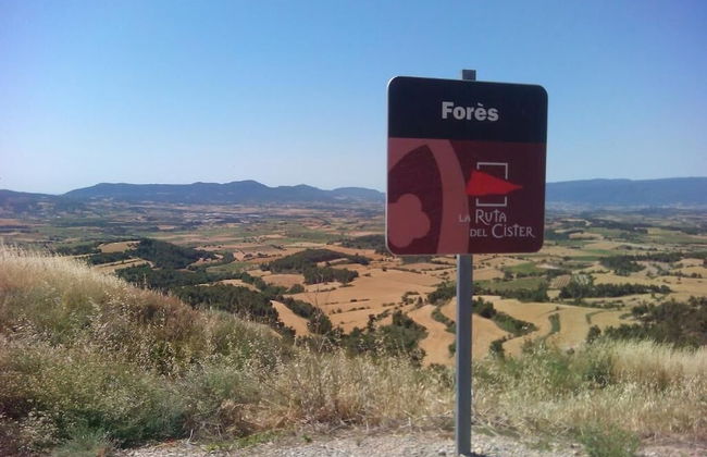 Rural Horizons - Foto 25