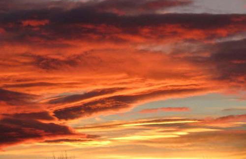 Pet-Friendly Vacation Rental on a Working Farm near Hudson, New York - Foto 12