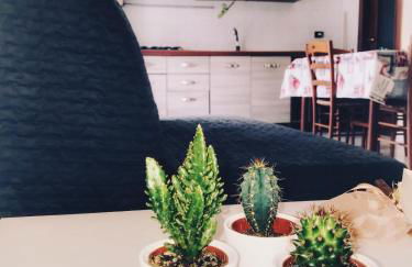 A casa di Peppe - Photo 7