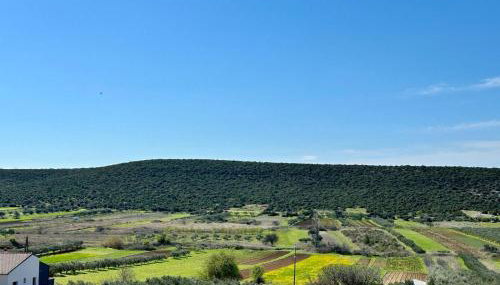 Apartman MIRA - Foto 4