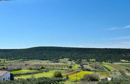 Apartman MIRA - Foto 4