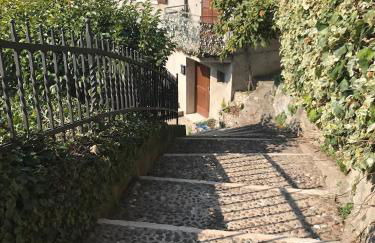 Villa Castello - Foto 60