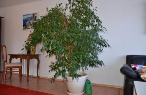 Ferienwohnung Pascale - Foto 3