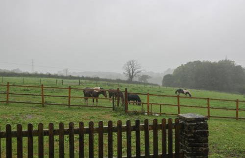 Myrtle Cottage - Foto 21