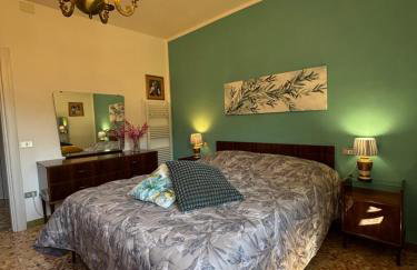 Voce del Casentino - Photo 7