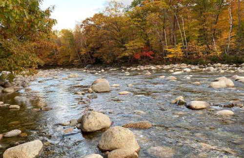 Studio Apt with stunning Mountain Views - Foto 20