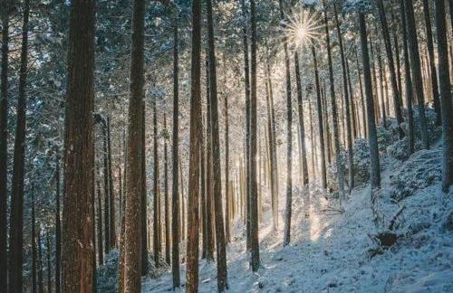 KampenZeit Loft mit traumhaftem Panoramablick - Foto 72