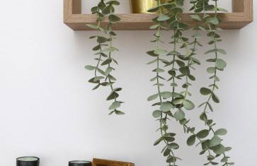 Apartman Mara - Foto 14