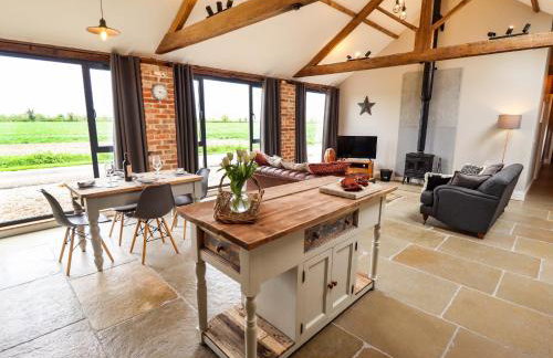 Little Owl - Foto 10