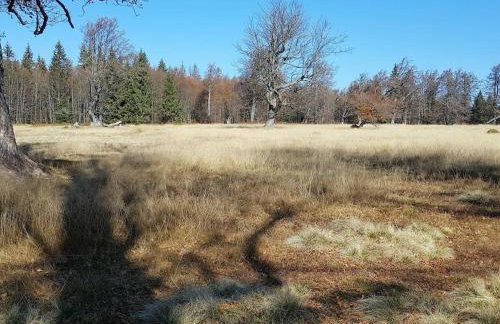 Country house Rachelblick - Foto 27