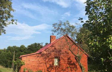 Wiejski domek w środku lasu Osłowo Mielnik - Foto 1