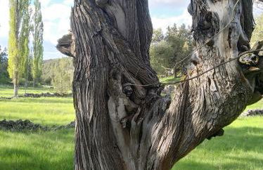 Dúplex con piscina climatizada y sauna, El último rincón - Foto 55