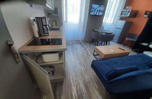 3 Apt T2 COSY de 40 à 50 M2 Idéal pour un déplacement PRO " Les IRIS " - Foto 19