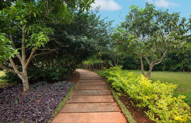 Tranquil Woods By Jade - Foto 27