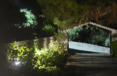 Alexia's resorts - Photo 46