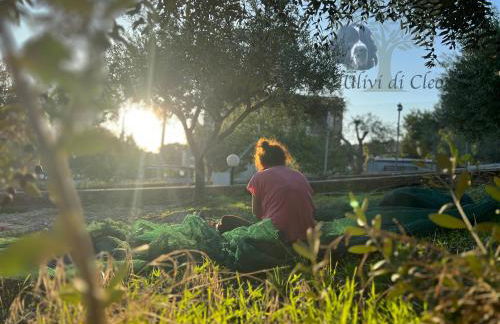 Ulivi di Cleo - Foto 49