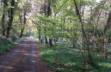 La Parenthese Bois de Cise - Foto 46