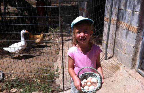 BIO Garden Stonehouse - Foto 35