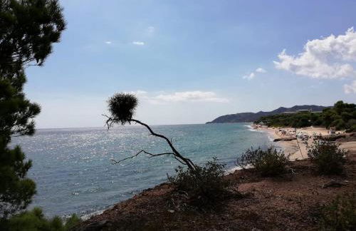 Calaverde Pula Il Giardino di Alessandra - Foto 6