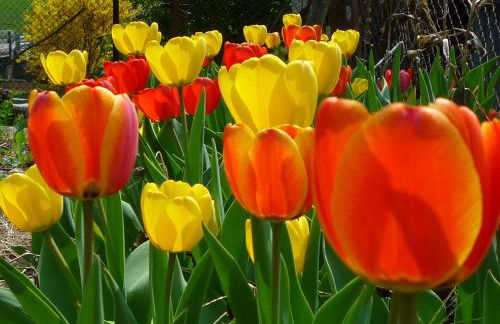 Feldererhof - Foto 45