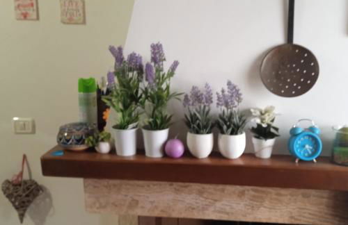 La mia Acera - Foto 11