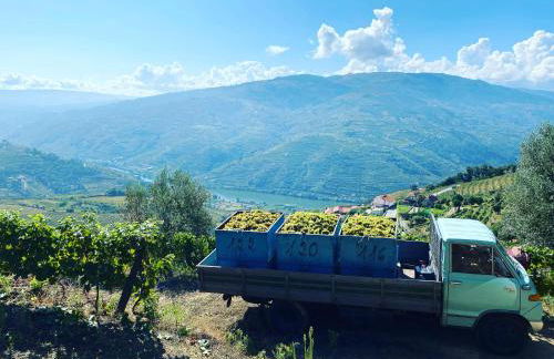 Casa da Oliveira - Photo 34