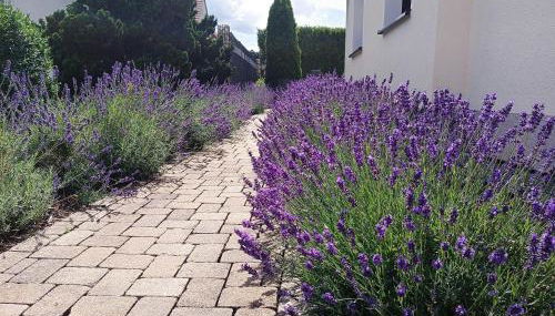 Ferienwohnung Sonnenblick und Relax - Foto 2