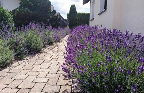 Ferienwohnung Sonnenblick und Relax - Foto 2