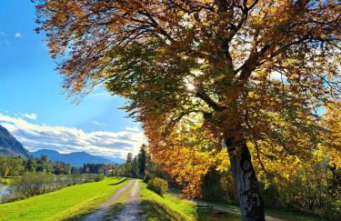 Ferienwohnung Schreiner-Viehhausen - Foto 8