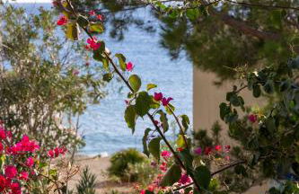 Okeanis Mystique South - Foto 18