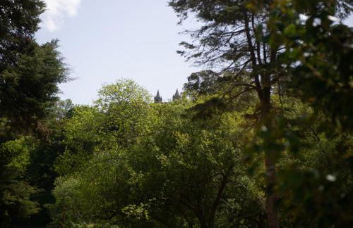 Casa do Carvalhal - natureza no centro da cidade - Foto 29