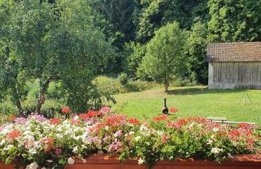 Gasthaus Zum Schneider - Foto 15