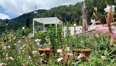 Duca House Small - Photo 3, Garden, Garden view