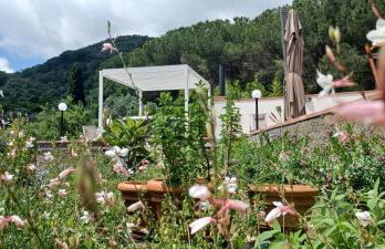 Duca House Small - Photo 3