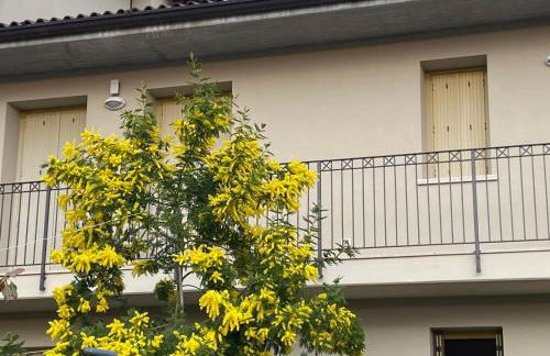 Luca's Home - Foto 15