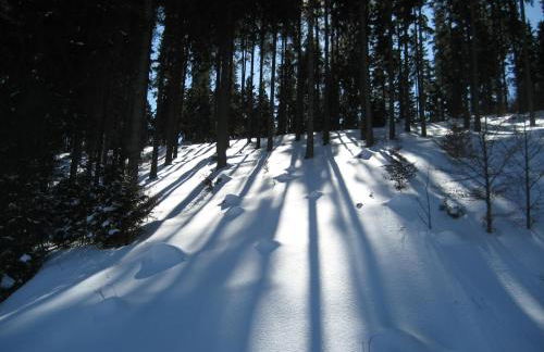 Ferienwohnung Schneemann - Foto 58