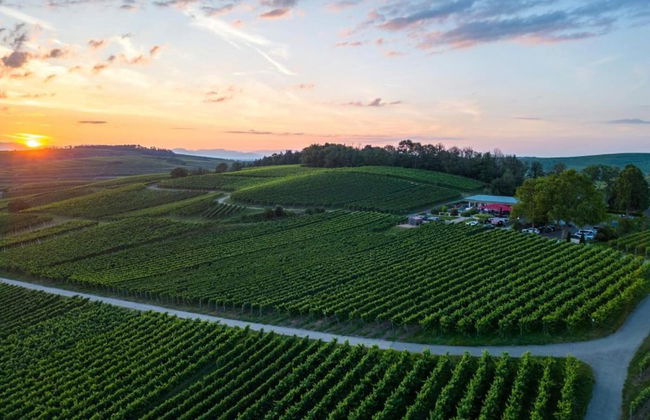 Holiday Apartment Monet in Oberrotweil - Foto 32