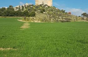 Villetta sullo Scoglio - Foto 3