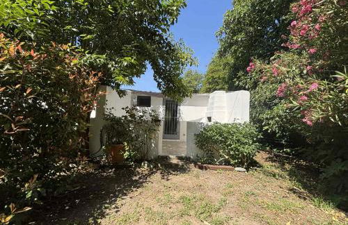 Gîtes Terra di a Bravona - Foto 57